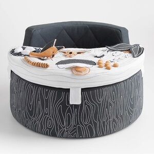 Crate & Barrel / Kids Baby Activity Chair (NWT!)